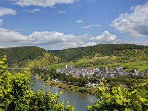Bruttig-Fankel