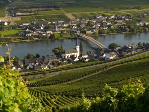 Piesport