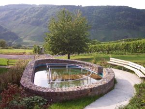 Burg Mosel