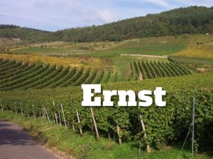 Ernst Mosel