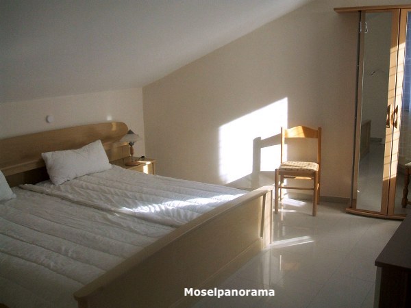 Maxhof - Wohnung Moselpanorama