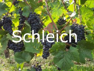 Schleich
